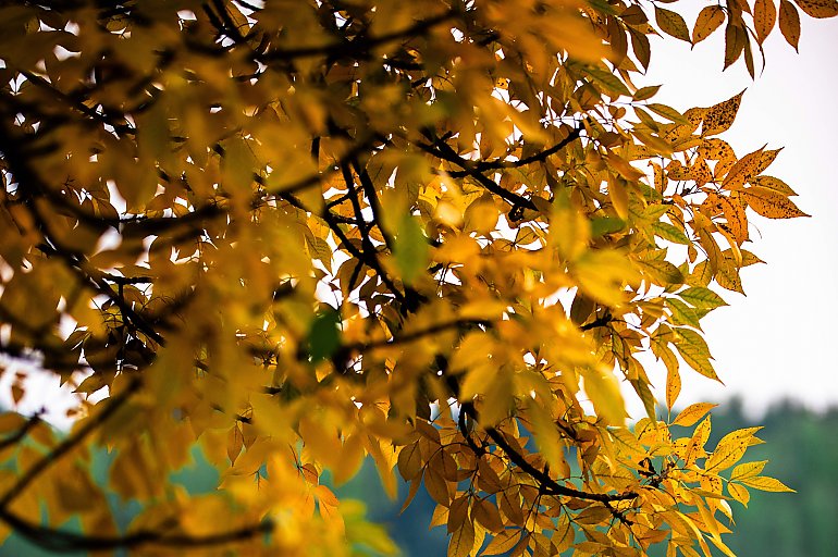 Pochmurno i wietrznie [POGODA]