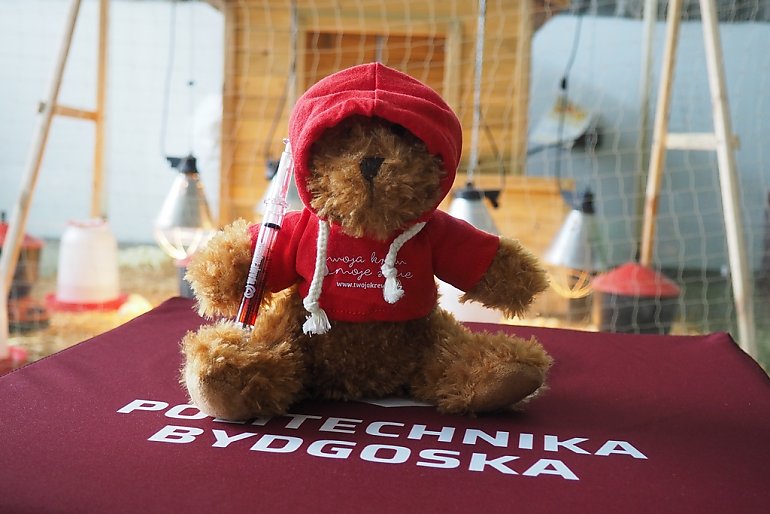 Wampiriada 2025 - edycja jesienna [ZAPROSZENIE]