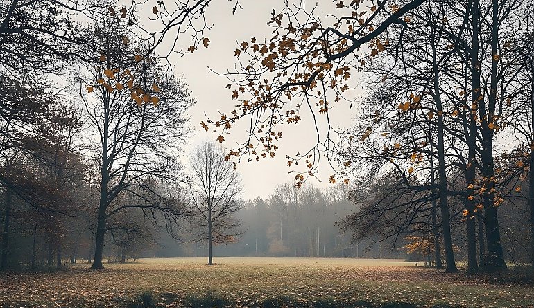 Chłodno i bardzo pochmurno, miejscami mżawka [POGODA]