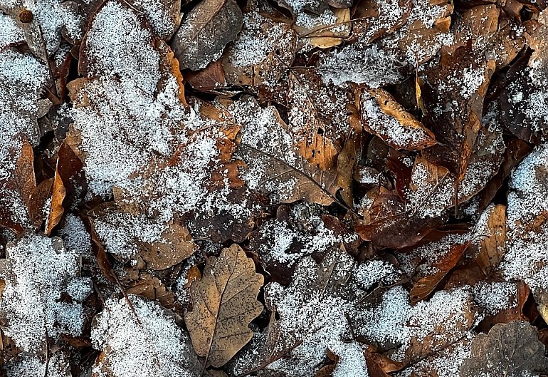 Chmury i opady mieszane nad Bydgoszczą [POGODA]