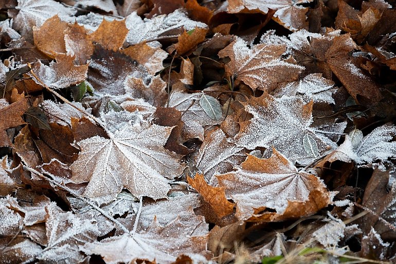Przeważnie pochmurno, bez opadów — niewielkie ocieplenie możliwe jutro [POGODA]