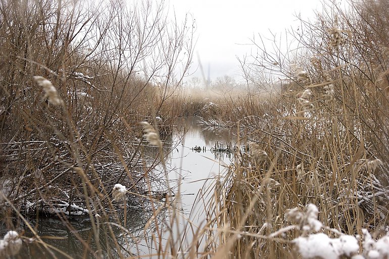 Duże zachmurzenie i przelotne opady [POGODA]