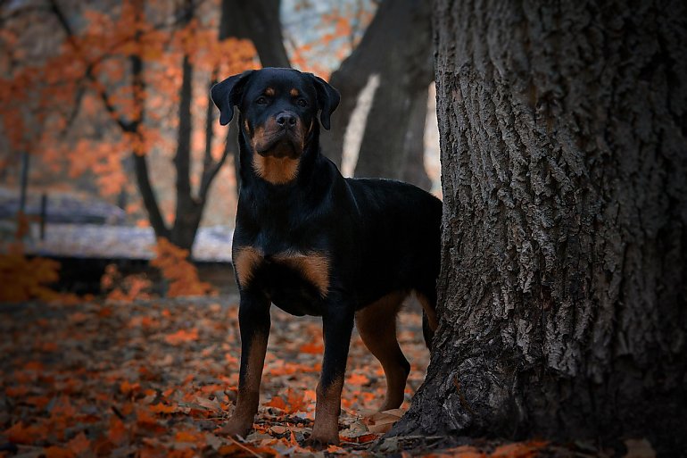 Ostatni ciepły dzień [POGODA]