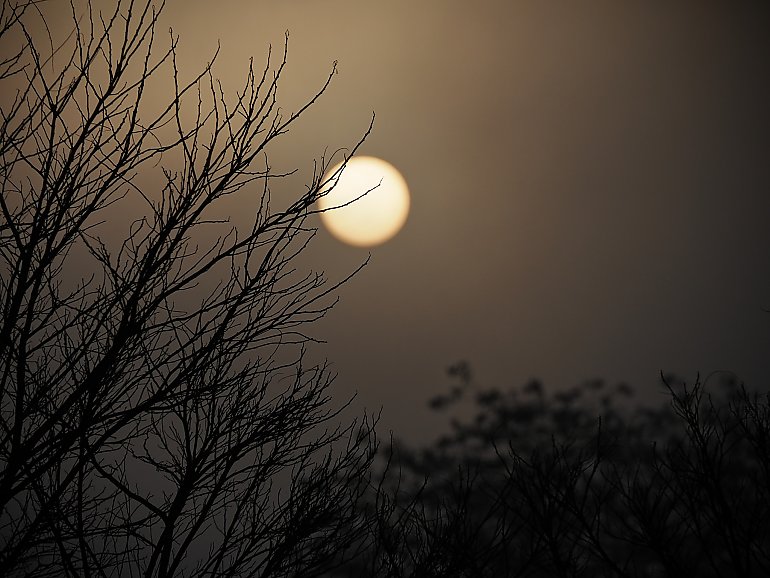 Całkowite zachmurzenie i słabe opady [POGODA]