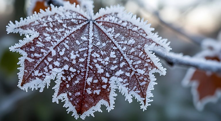 Mroźne, pogodniejsze dwa dni [POGODA]