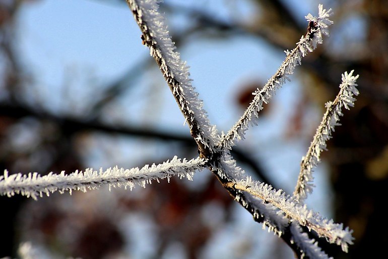 Chłodno, wietrznie i ze zmiennym zachmurzeniem [POGODA]