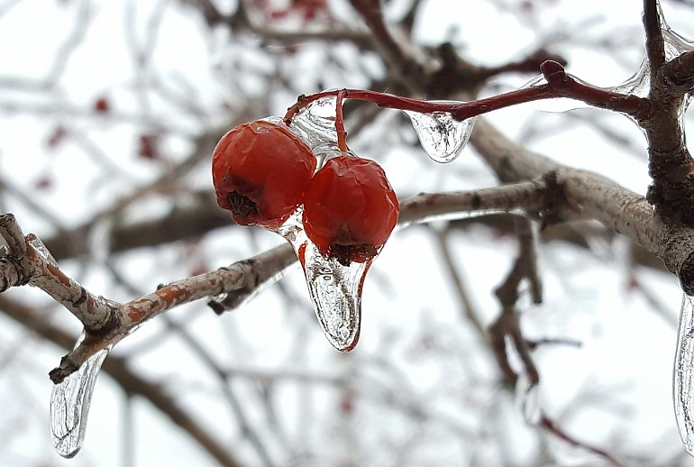 Chłodno i z marznącym deszczem - najbliższe dni mogą przysporzyć problemów bydgoskim kierowcom 