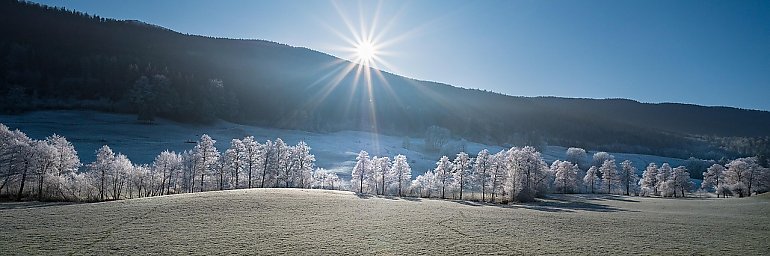 Krótkie ocieplenie w dzień, mroźne noce [POGODA]
