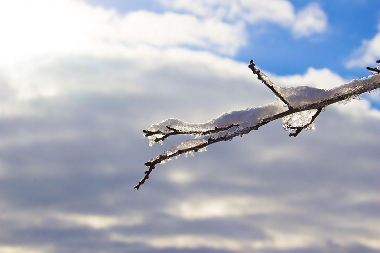 Chłodno i pochmurnie w Bydgoszczy. Może też spaść trochę śniegu [POGODA]