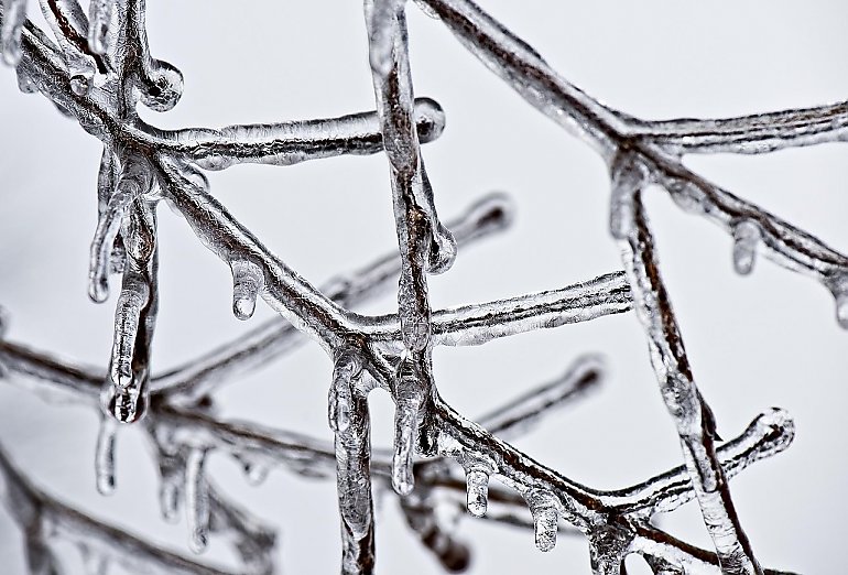 Bydgoszcz: mroźne noce, przeważnie pochmurno z nieznaczną odwilżą [POGODA]