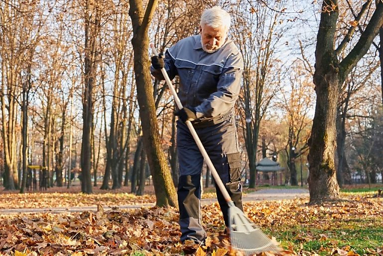 Dorabiający emeryci i renciści, czas się rozliczyć! Zakład Ubezpieczeń Społecznych przypomina o obowiązku 