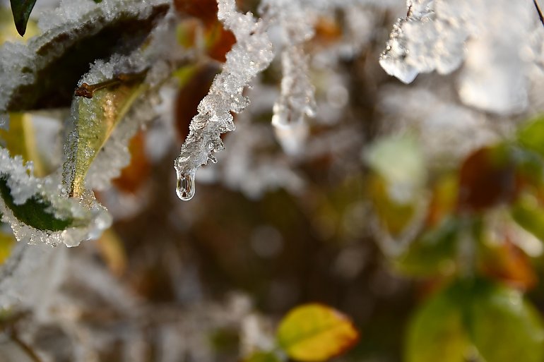 Odwilży ciąg dalszy, całkowite zachmurzenie i przelotne opady [POGODA]
