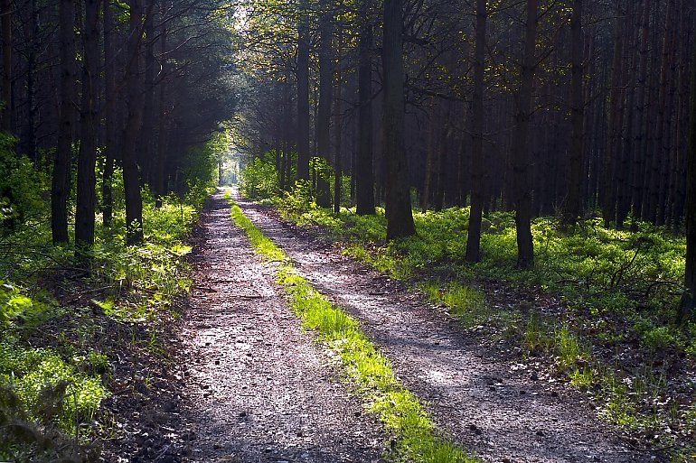 Słoneczne i suche dwie doby w Bydgoszczy [POGODA]