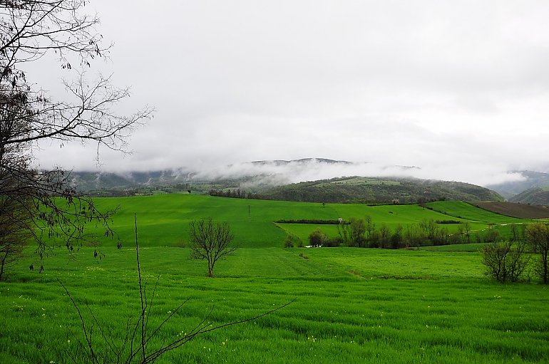 Pochmurno i łagodnie przez dwa dni w Bydgoszczy [POGODA]