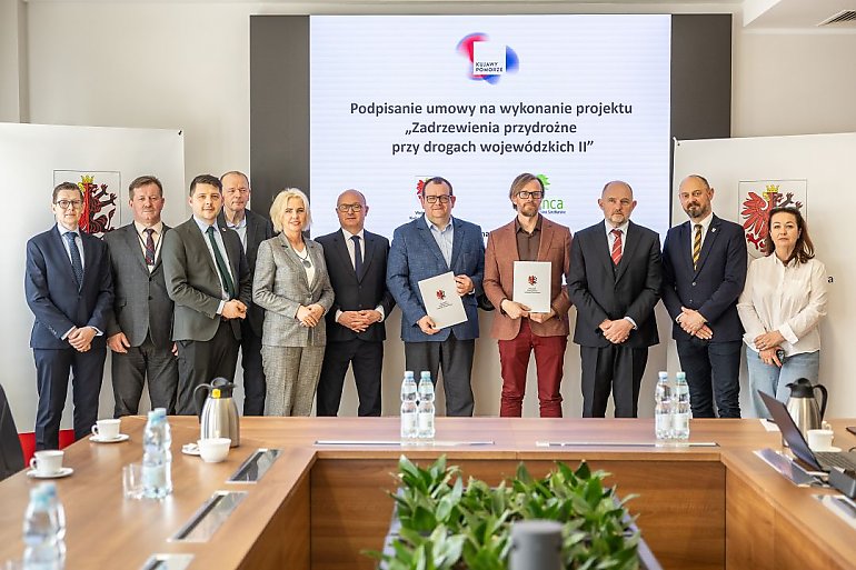 Aleje drzew wrócą do kujawsko-pomorskich dróg. Najpierw Chełmno, Unisław i Barcin