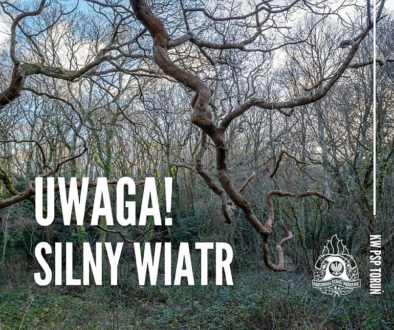 Pracowite Święta dla kujawsko-pomorskich strażaków. Przez silny wiatr musieli interweniować ponad 200 razy