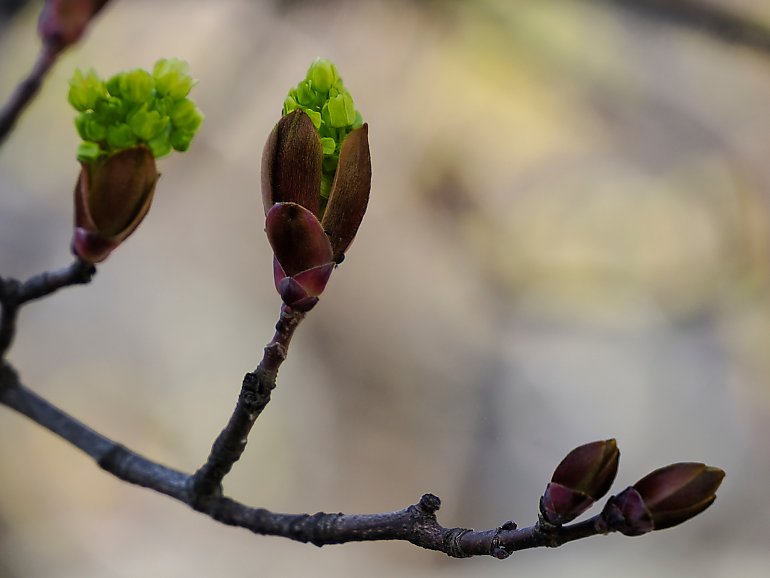 Słonecznie i wietrznie w Bydgoszczy [POGODA]
