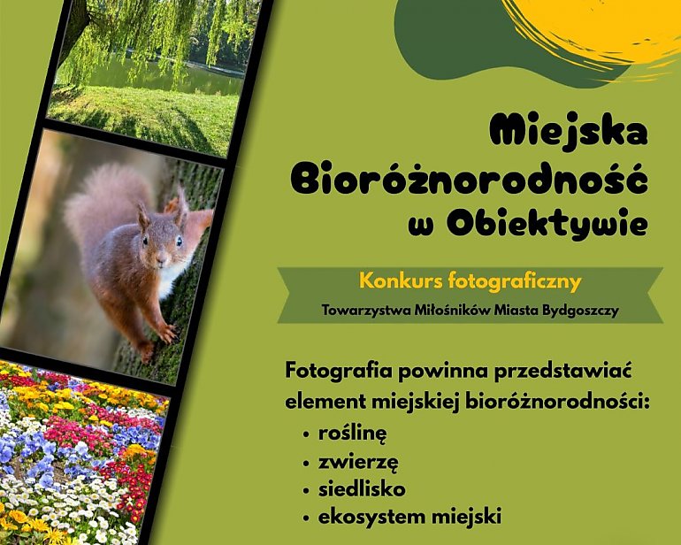 Miejska przyroda w obiektywie. Rusza konkurs fotograficzny w Bydgoszczy