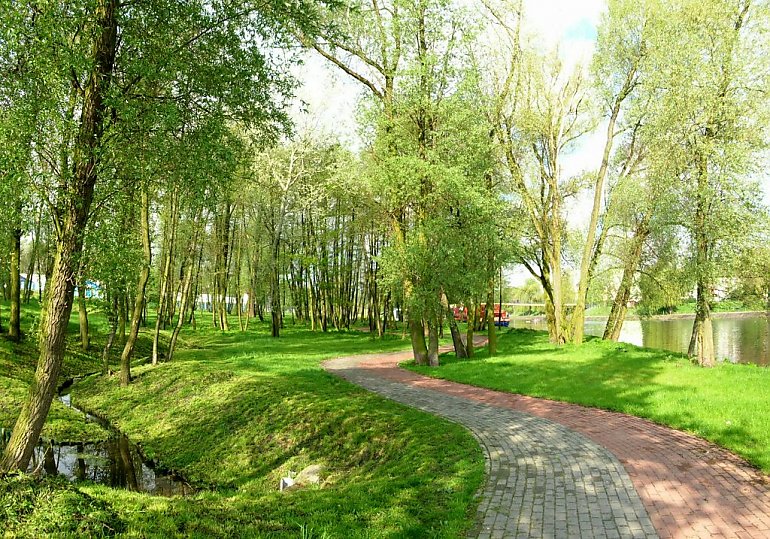 Park Centralny: nowe dokumenty pokazują przyrodniczą cenę inwestycji