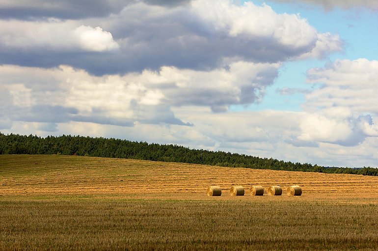 Ciepło i zmiennie — słońce, później więcej chmur [POGODA]