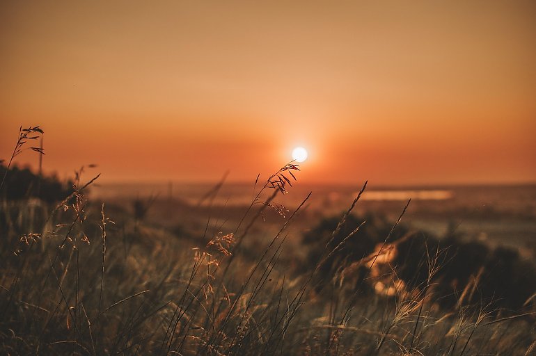 Słońce i wzrost temperatury [POGODA]