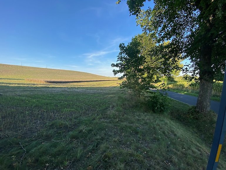 Gorąco, potem chmury i przelotne opady [POGODA]