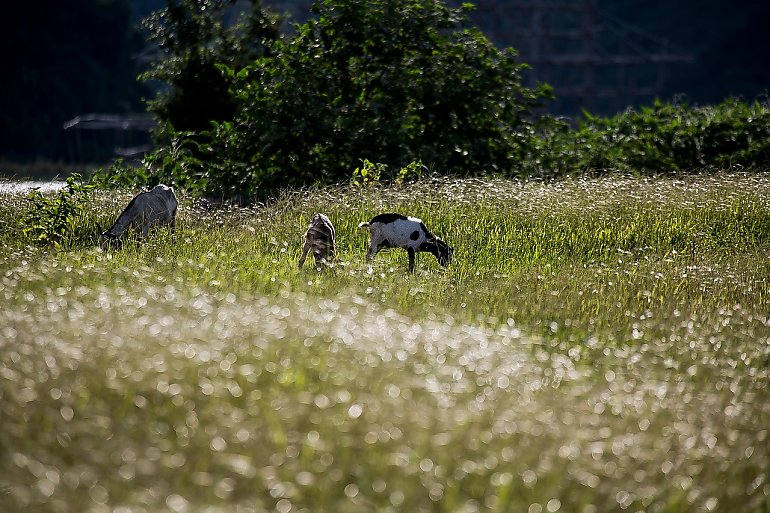 Słonecznie i umiarkowanie ciepło w Bydgoszczy [POGODA]