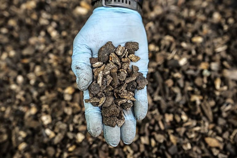 Las miał ukryć zbrodnię. Archeolodzy odnaleźli setki kilogramów spalonych szczątków
