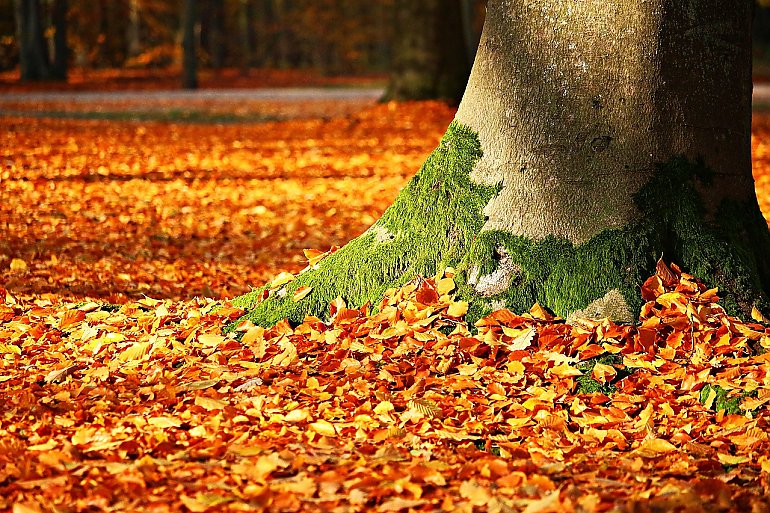 Słoneczny poniedziałek, potem więcej chmur [POGODA]
