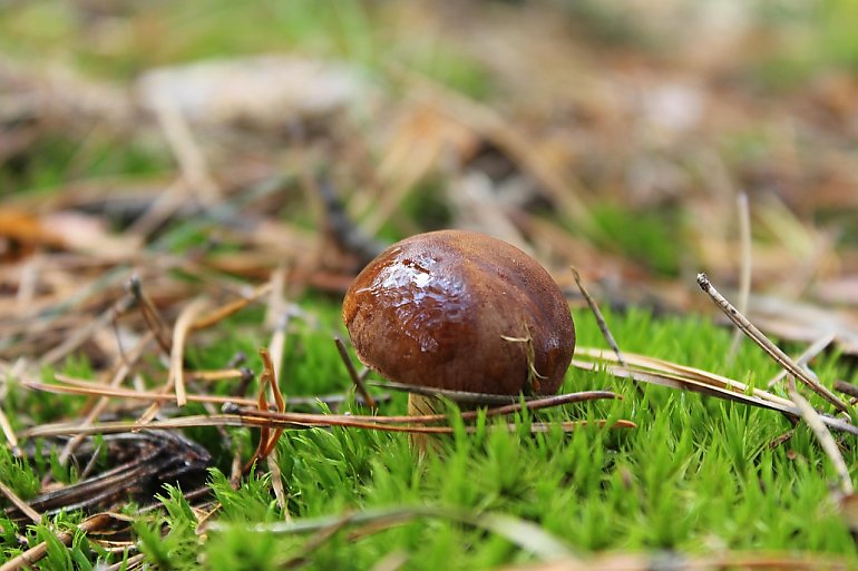 Łagodny piątek, potem więcej chmur [POGODA]
