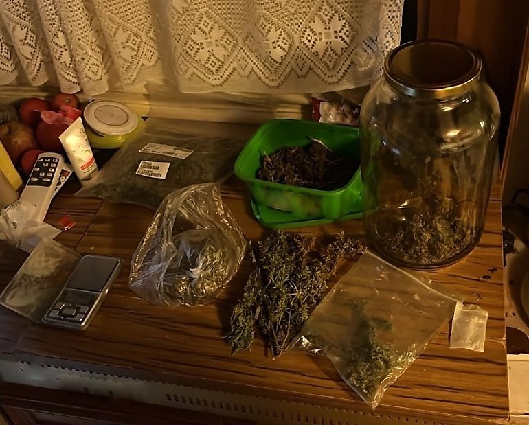 Nielegalna plantacja marihuany zlikwidowana. 37-latkowi z gminy Szubin grozi 10 lat więzienia