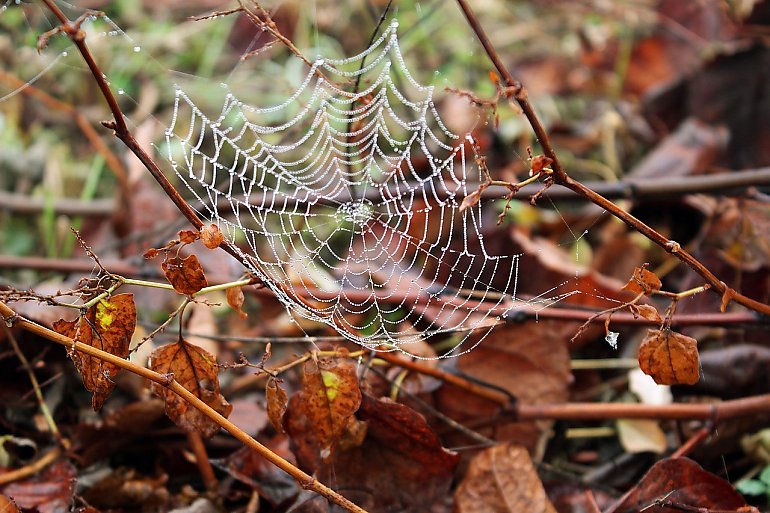 Suchy poniedziałek, cieplejszy wtorek [POGODA]