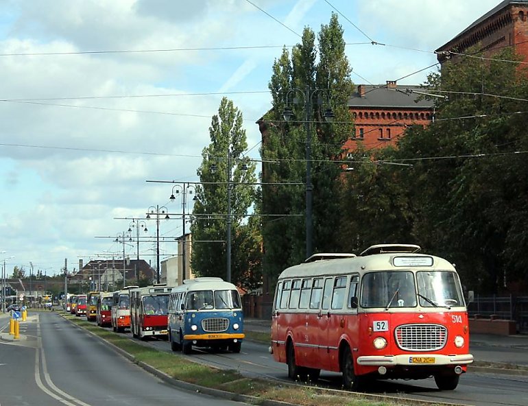 Komunikacja miejska obchodzi swoje święto. Do Bydgoszczy przyjedzie 80-letni autobus