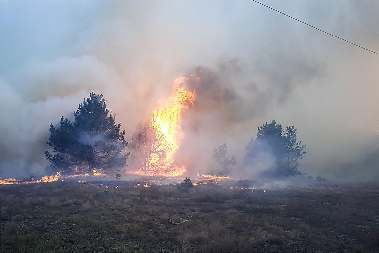 Spaliło się ponad 20 hektarów terenów leśnych [FOTOREPORTAŻ]