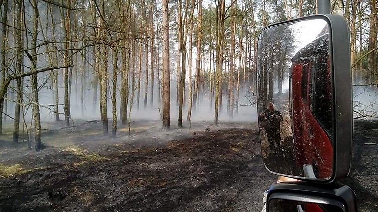 Wielki pożar lasu. Spłonęło już 40 hektarów [ZDJĘCIA]