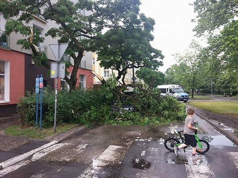 Nawałnica nad Bydgoszczą. Połamane drzewa, zerwane linie energetyczne [ZDJĘCIA]